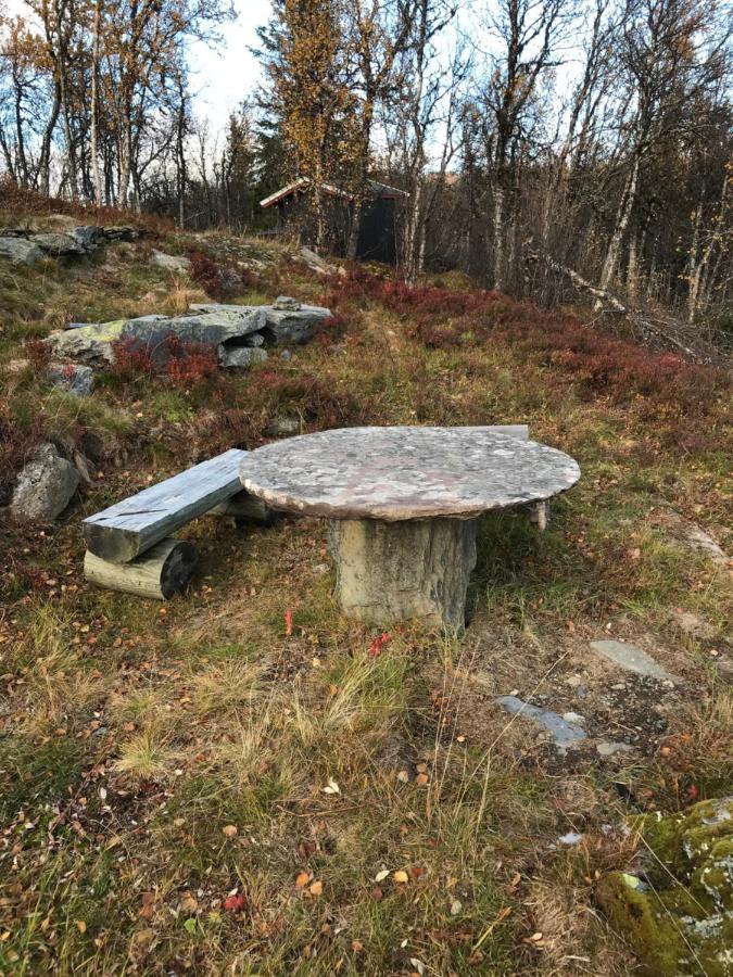 Cabin In The Mountain, Outstanding View & Solar Energy Vollen Extérieur photo