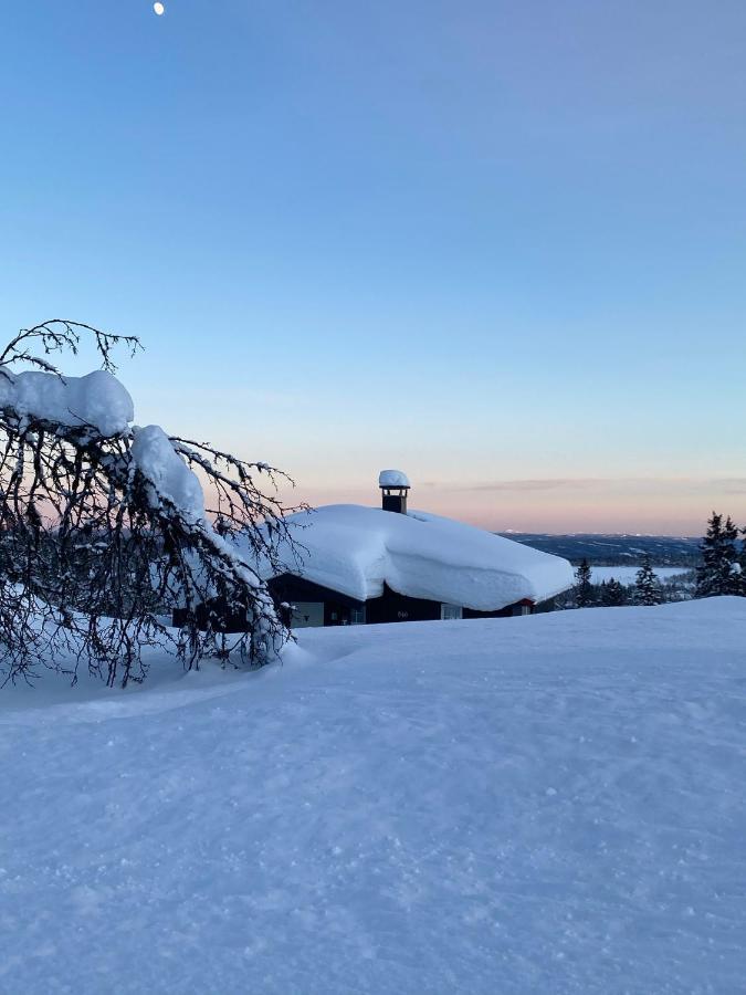 Cabin In The Mountain, Outstanding View & Solar Energy Vollen Extérieur photo