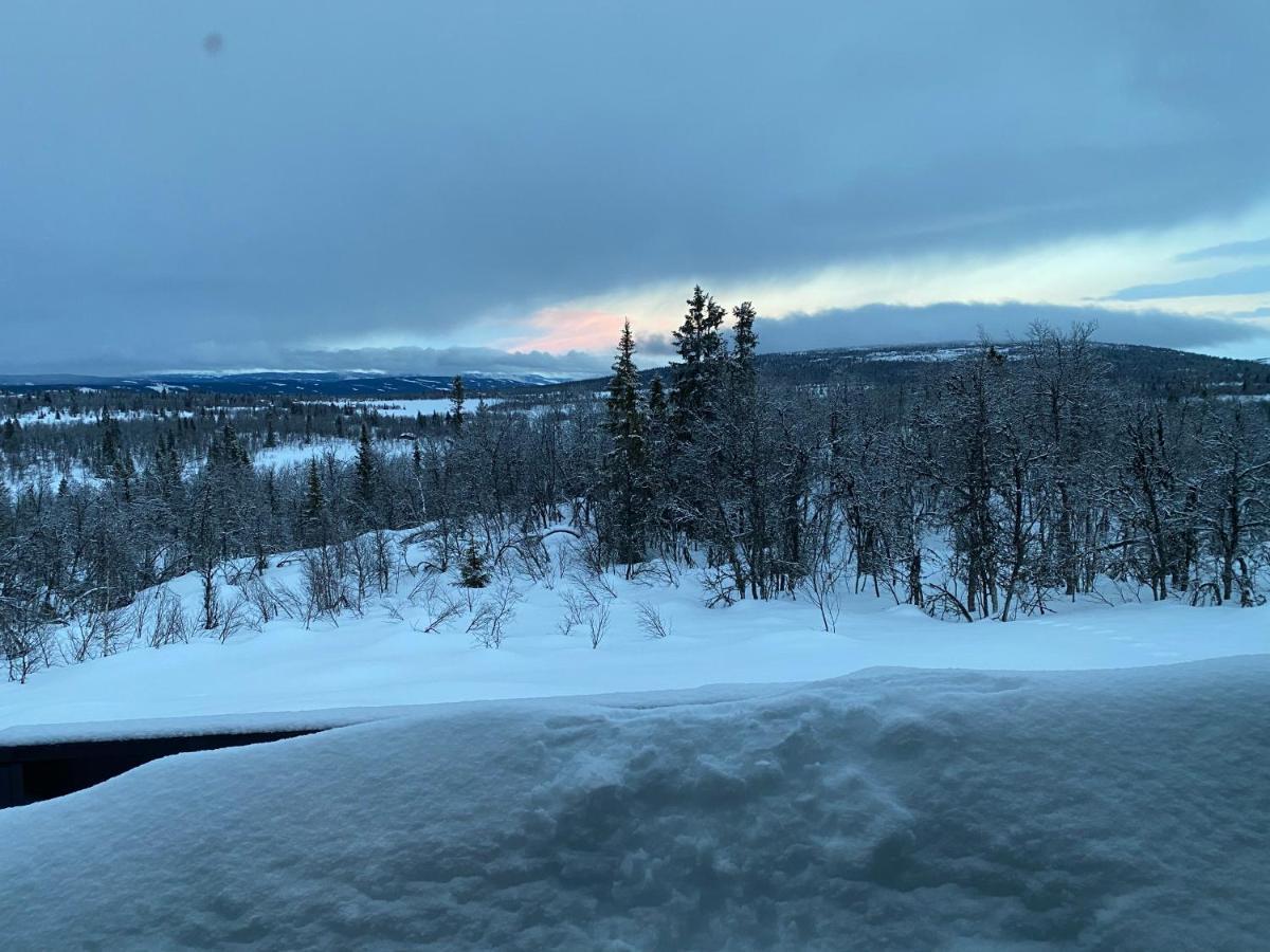Cabin In The Mountain, Outstanding View & Solar Energy Vollen Extérieur photo