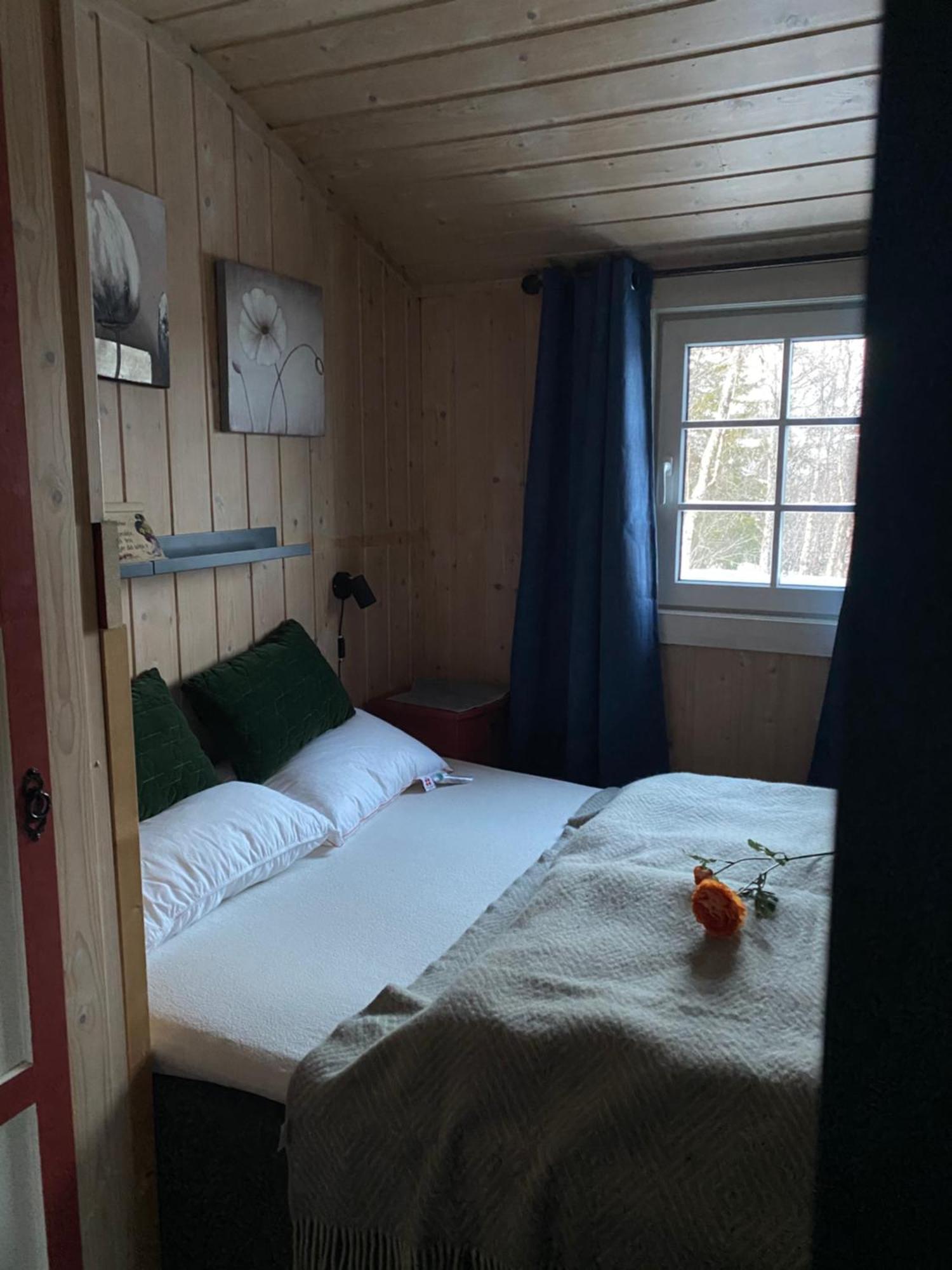 Cabin In The Mountain, Outstanding View & Solar Energy Vollen Extérieur photo